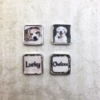 Pet Memorial And Cremation Urn Locket Necklace 7